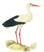 broderna von wrights vit stork painting